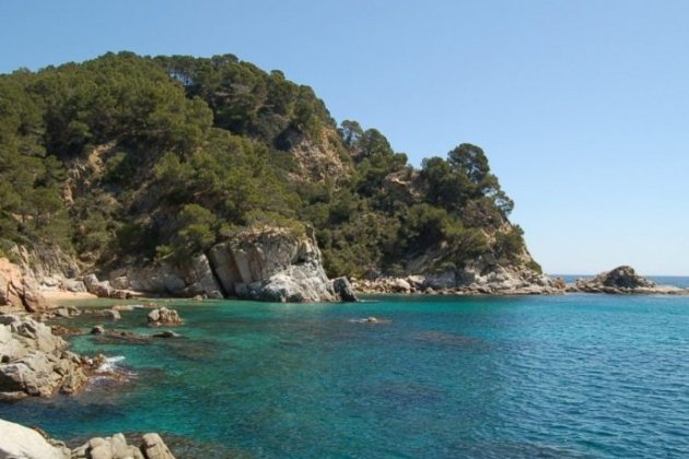 cala llevado