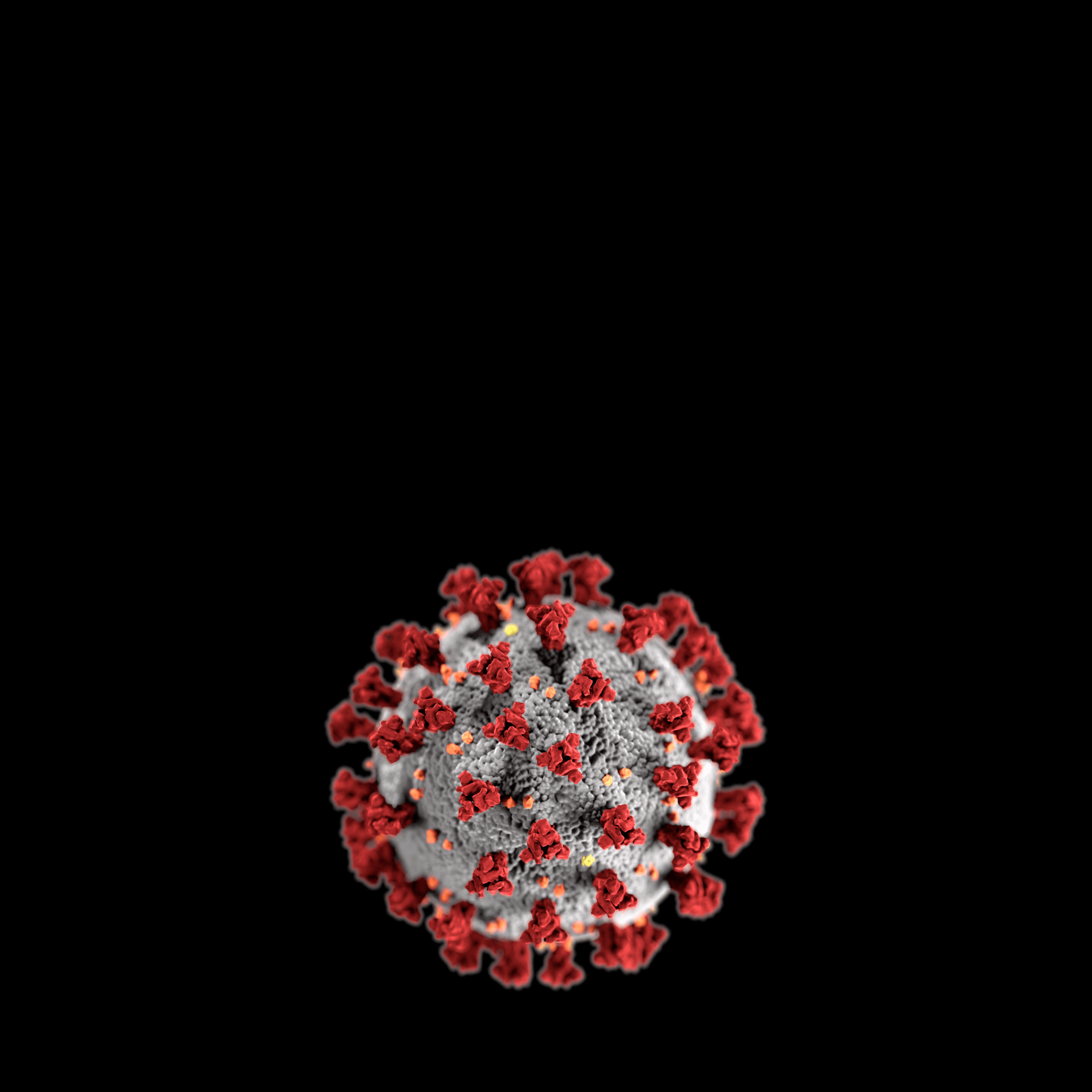 Un nuevo medicamento ofrece prometedores resultados frente al coronavirus