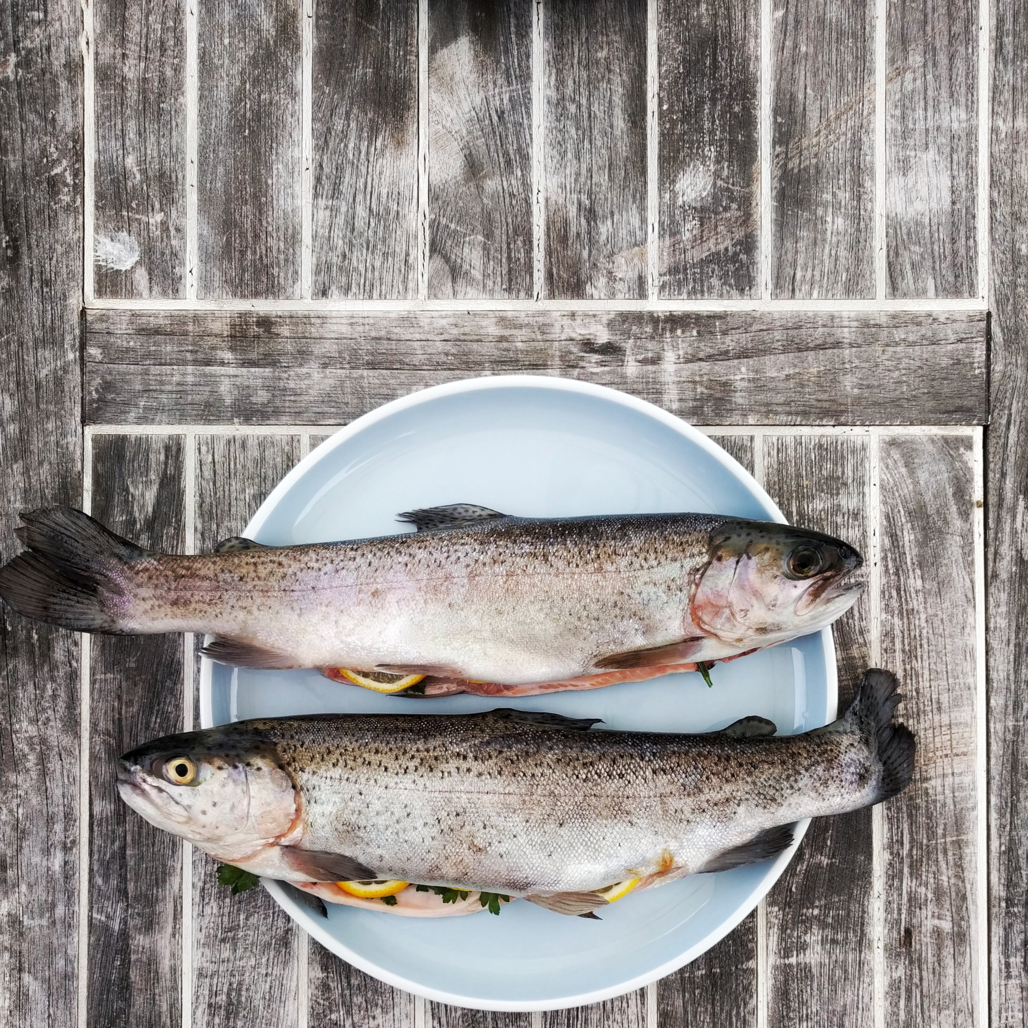 Descubren que el pescado protege el cerebro de los efectos de la contaminación