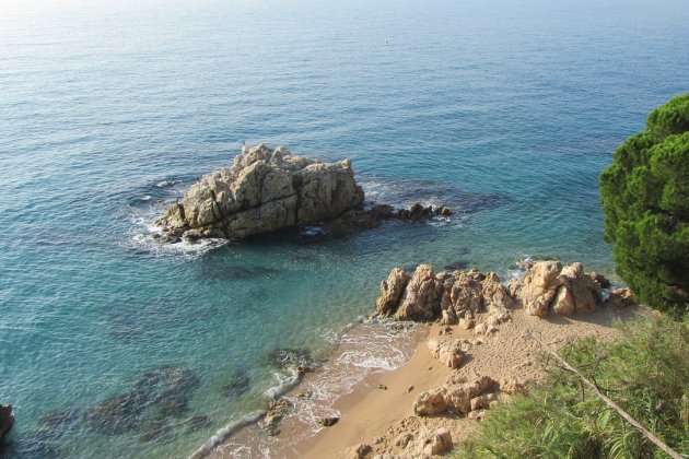 foto Playa Larga Calella