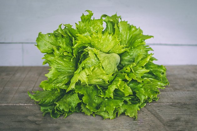 Lechuga