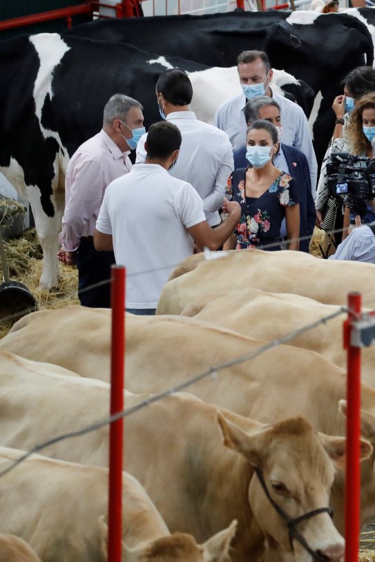 reina Leticia vacas cantabria EFE