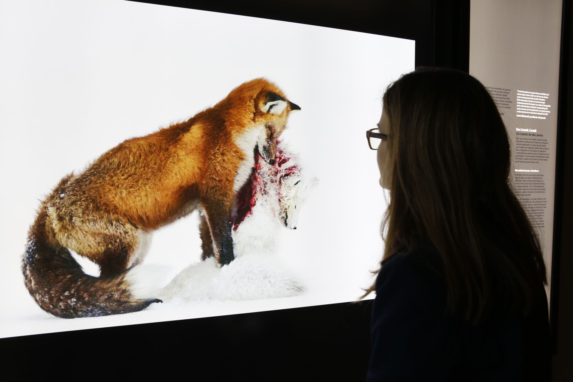 Les millors fotos de Natura, al CosmoCaixa