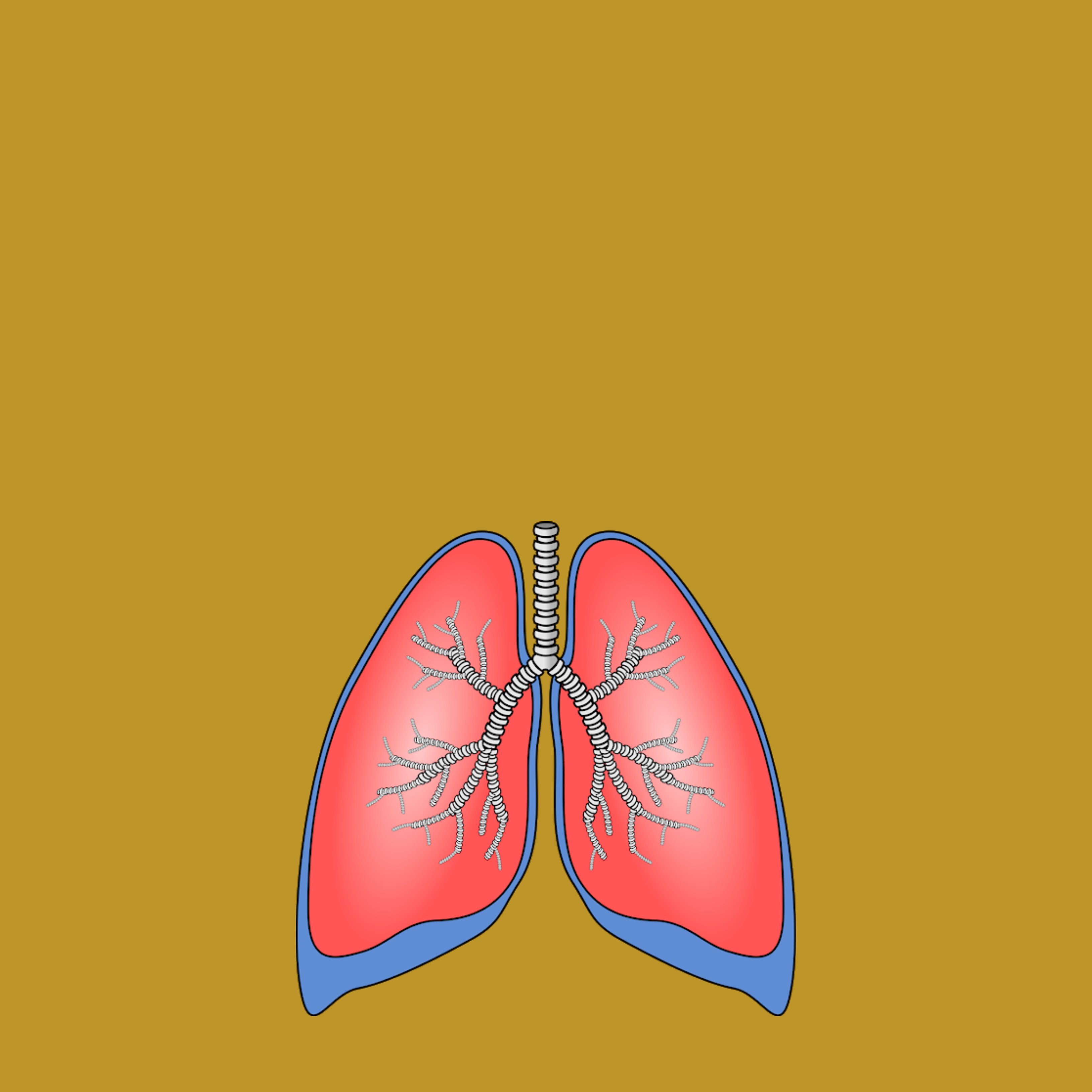 Si tens bronquièctasi a les vies respiratòries, fes exercici