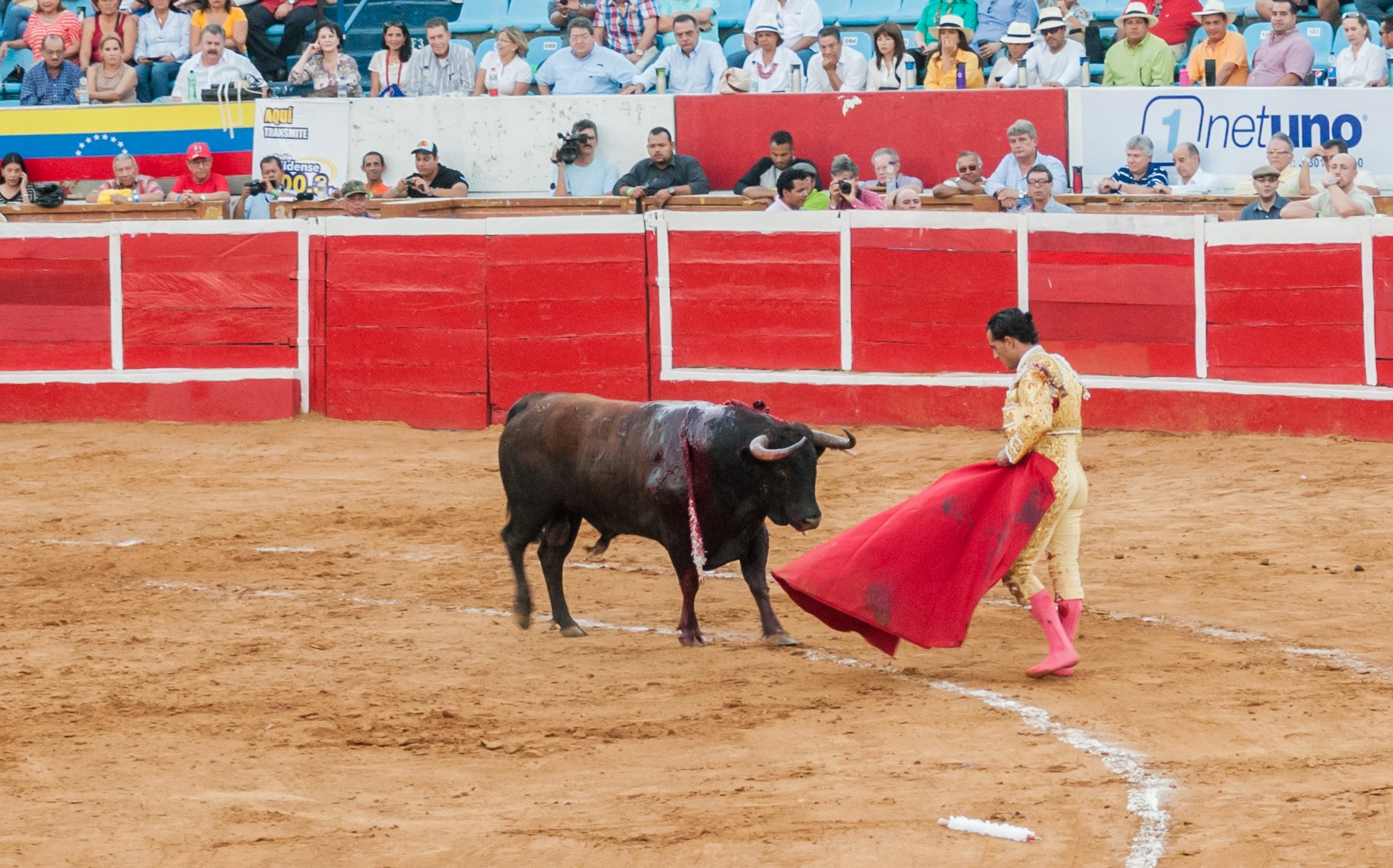 El Estado prohíbe a Donosti consultar sobre las corridas de toros