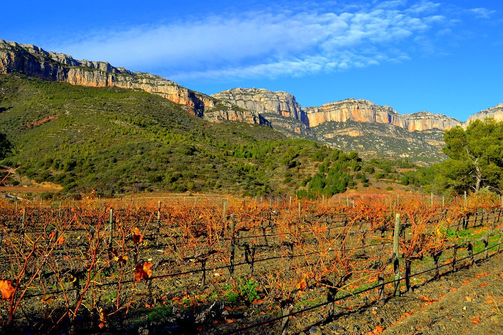 Ruta en coche (4): Disfruta del Priorat sin prisas