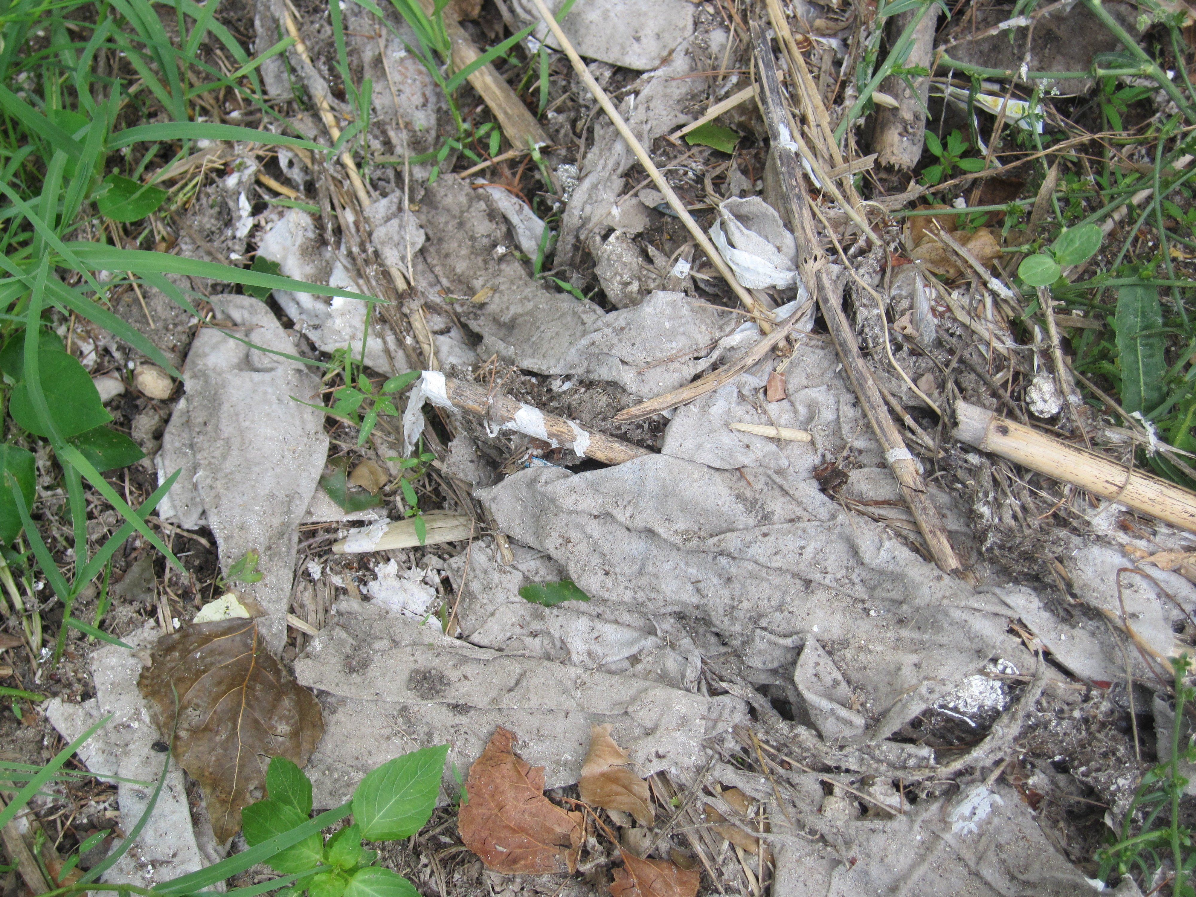 La Guardia Civil investiga vertidos irregulares en el río Francolí