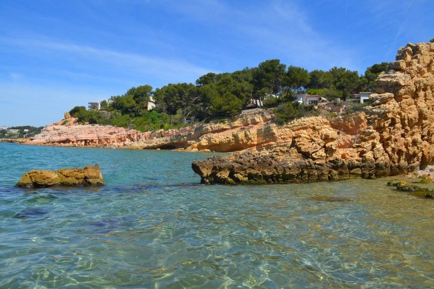 Cala peña cortada y peine|pinta