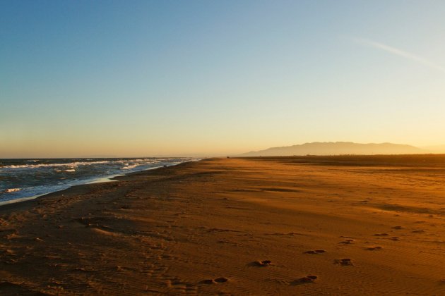 Playa eucalipto