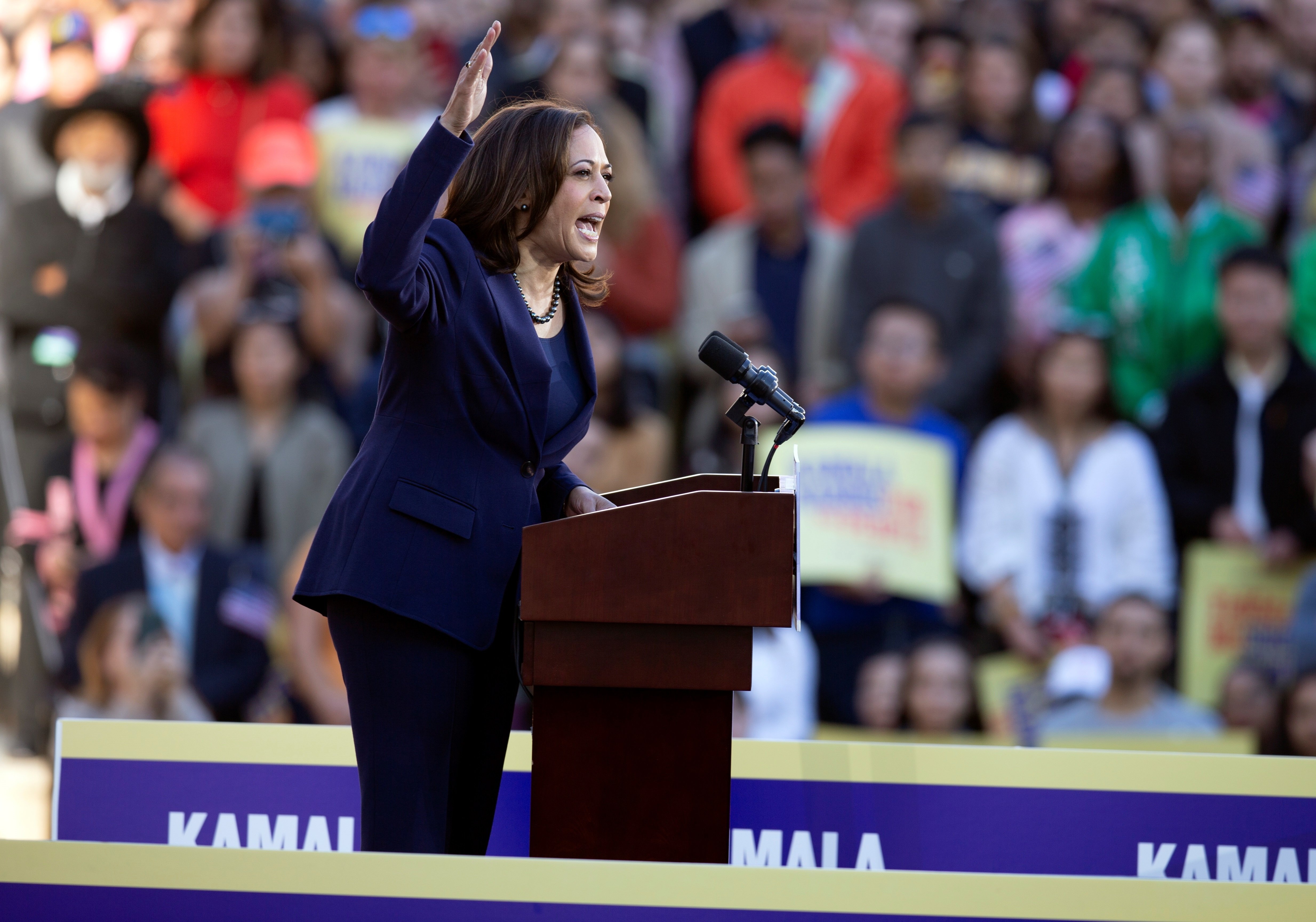 Biden escull Kamala Harris com a candidata a la vicepresidència demòcrata