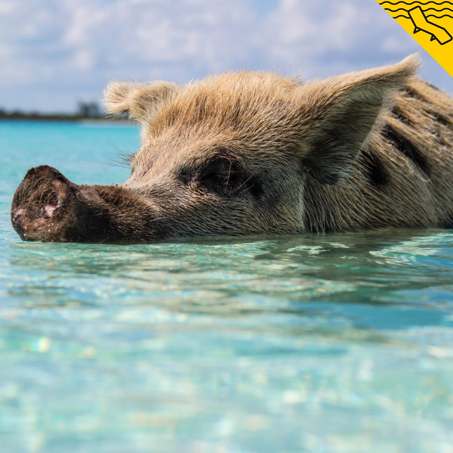 Estas son las vacaciones que no te podrás permitir