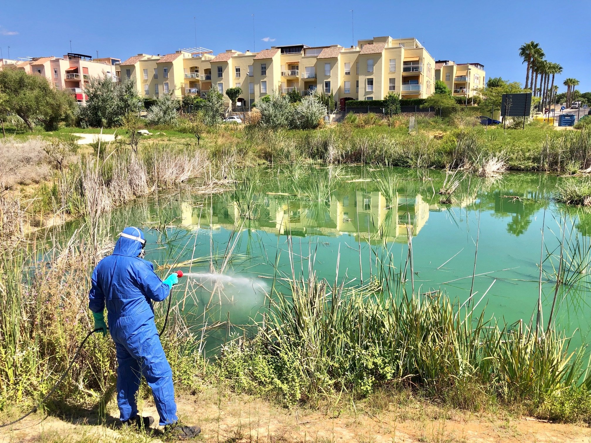 Primera víctima mortal pel virus de la febre del Nil a Andalusia