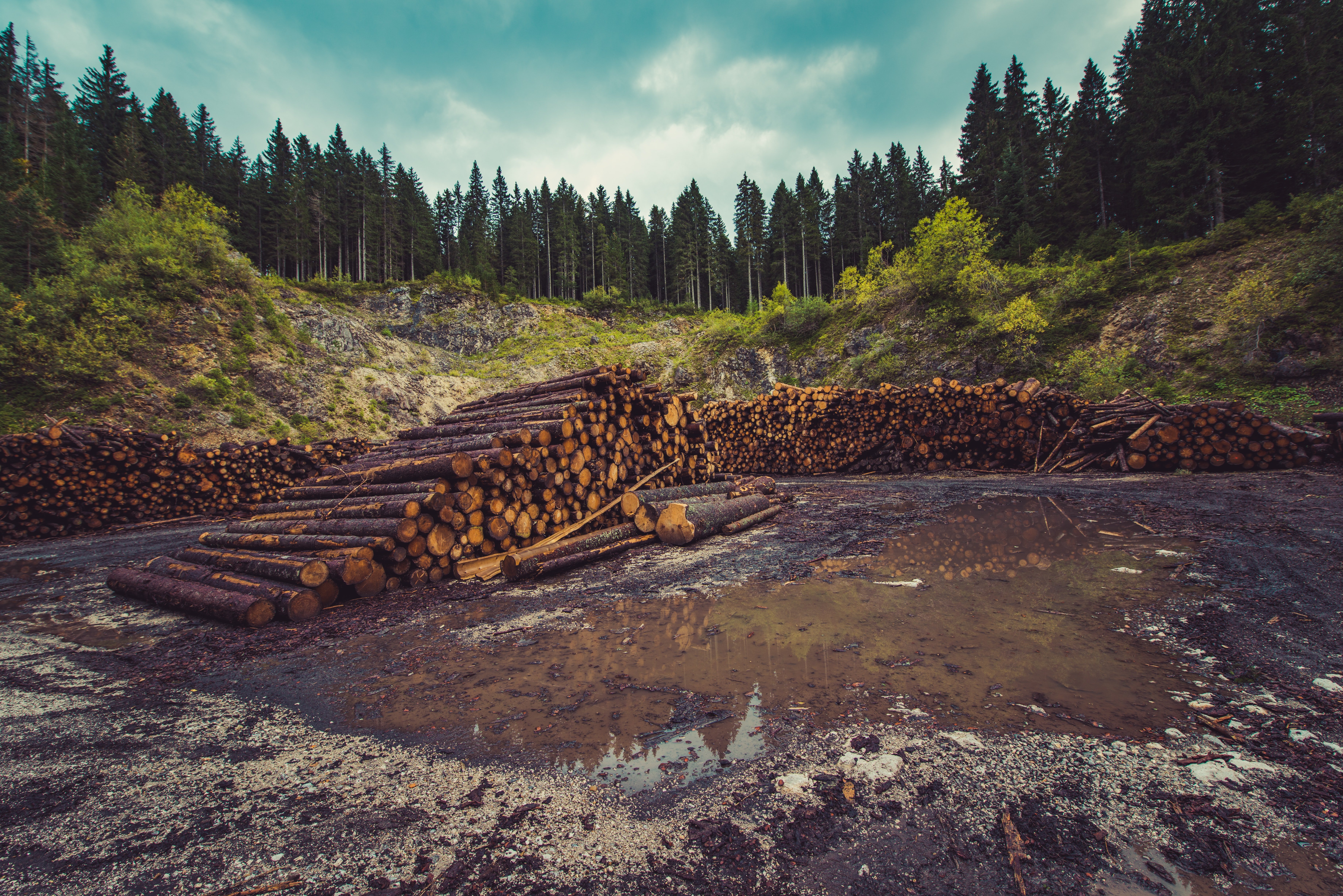 La Terra sobrepassa la seva capacitat natural, una mica més tard per la Covid