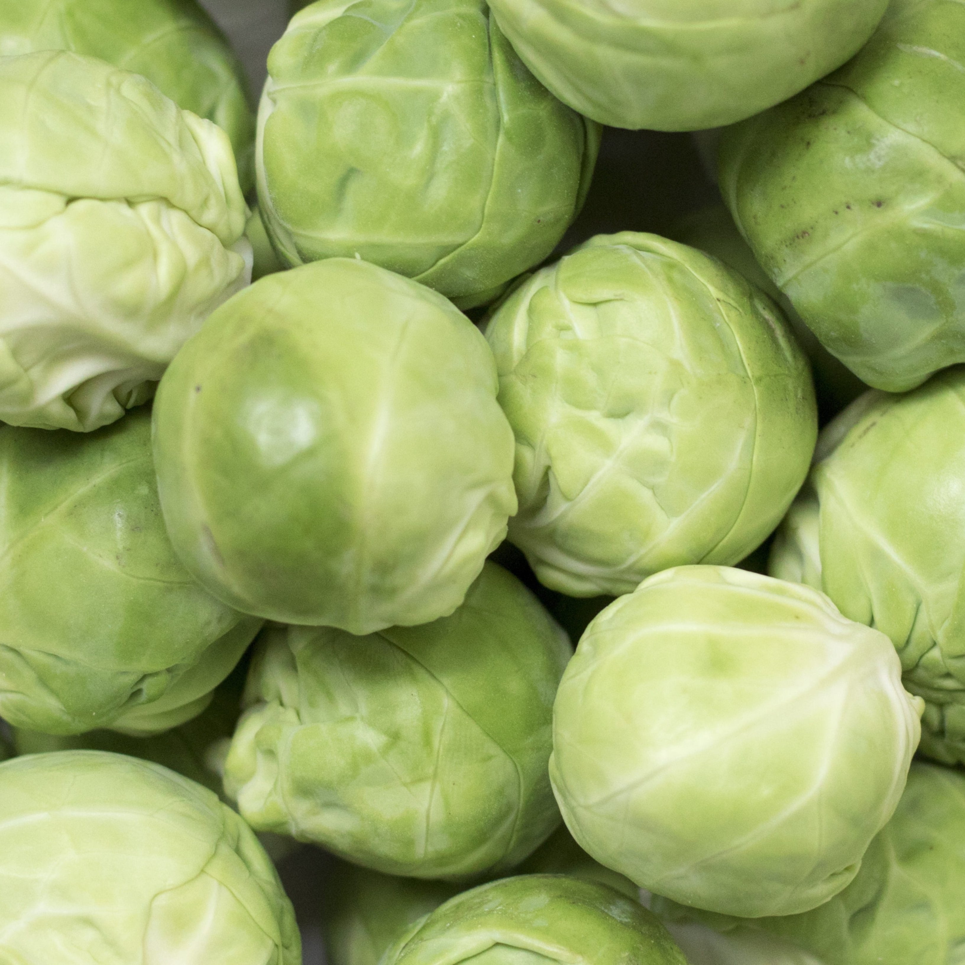 Estas verduras que no suelen gustar, excelentes ante las enfermedades vasculares