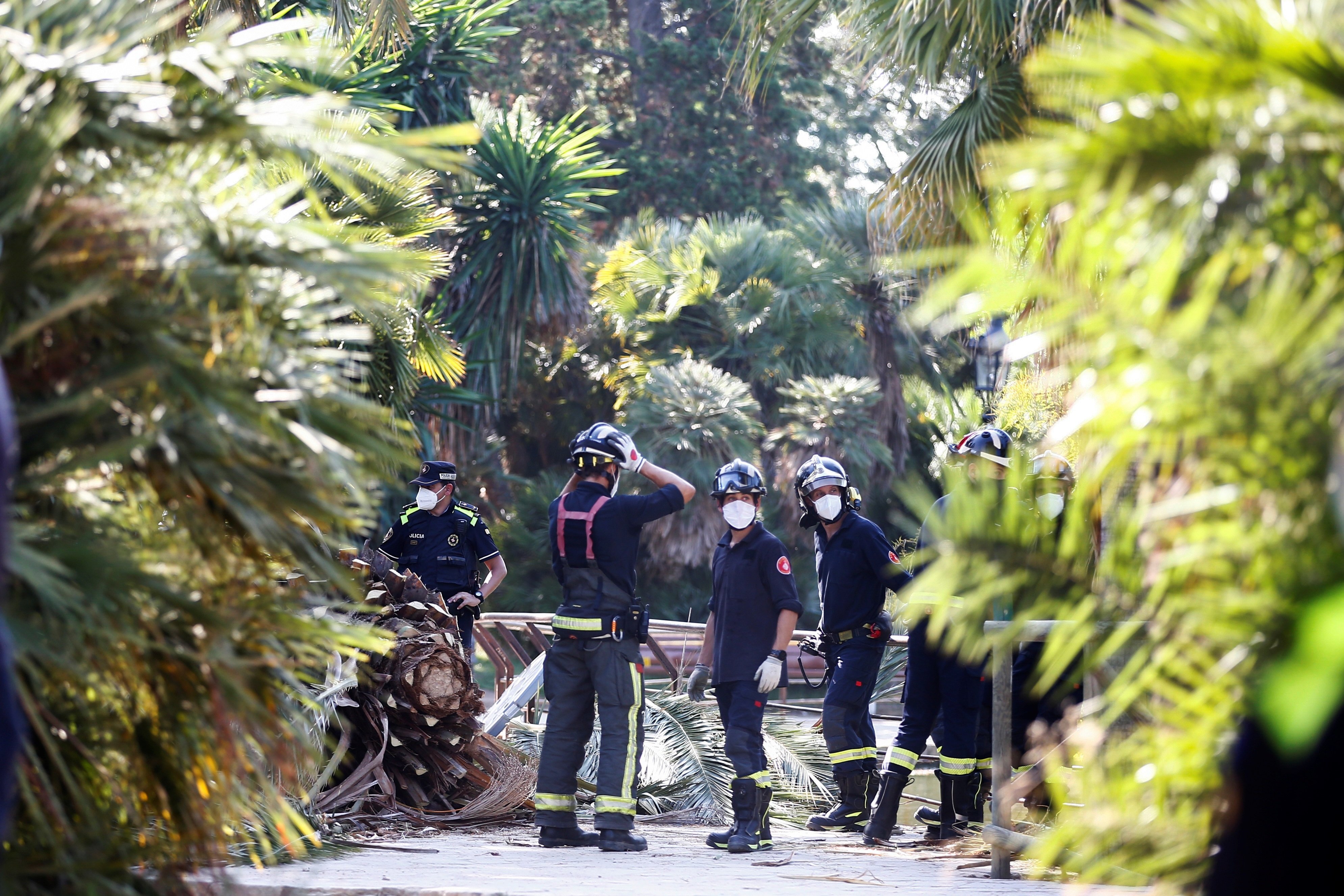 Barcelona tanca el parc de la Ciutadella per l'accident mortal amb una palmera