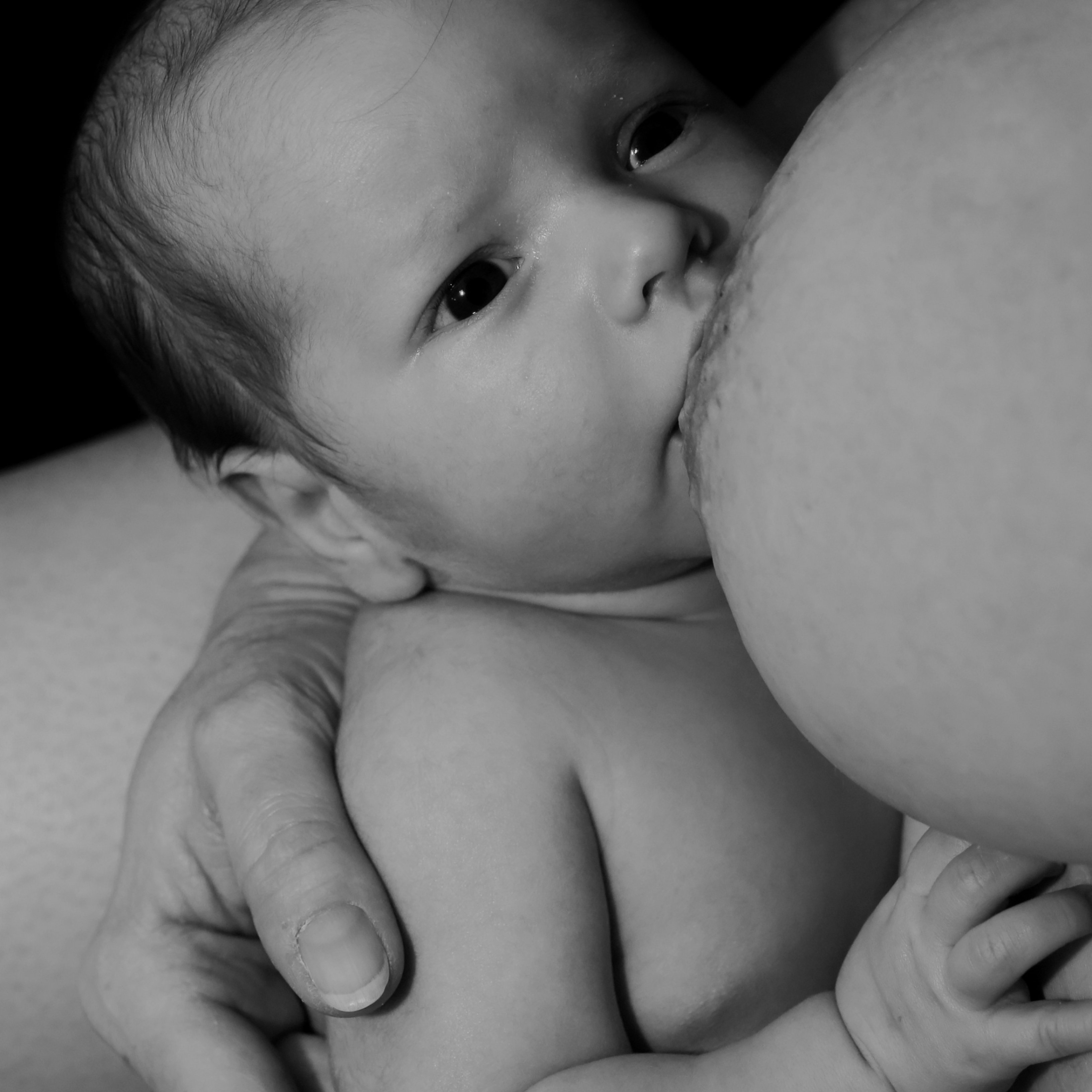 Com millora el sistema immunològic amb la llet materna?