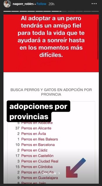 Adopciones por provincias