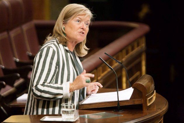 Àngels Ponsa defensa al Congrés la petició del Parlament de rebaixar l'IVA cultural (18673509831)