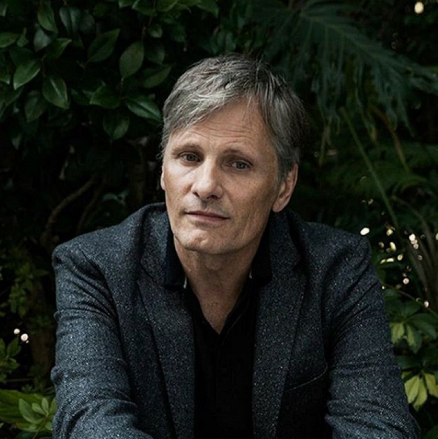 viggo3