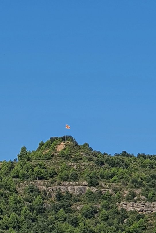 fotos lectores monte corvina