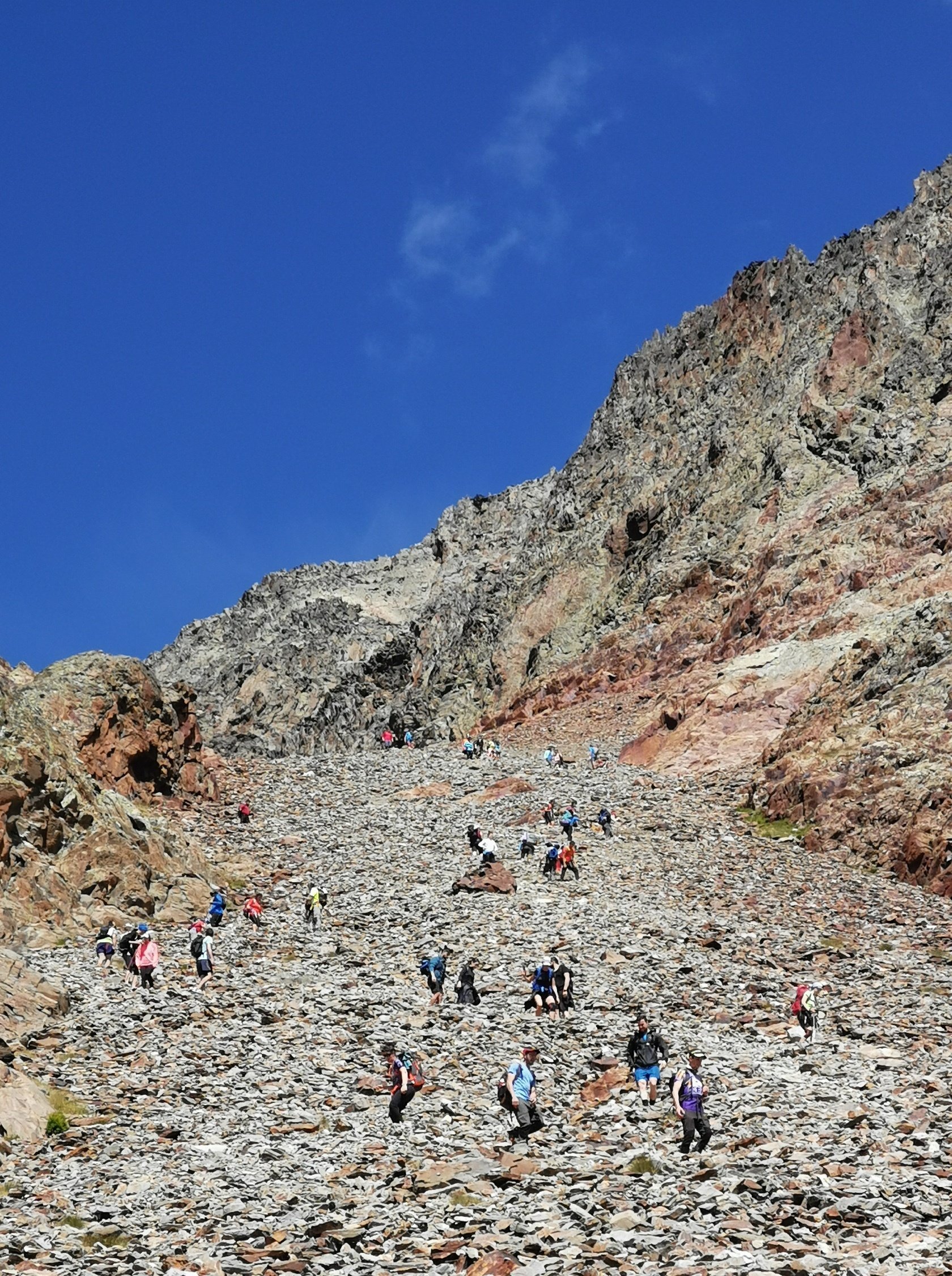 Tartera del port de Sotllo @pnaltpirineu