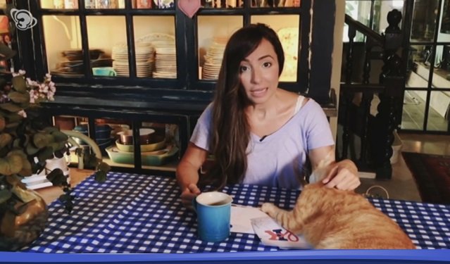 laia servera y gato