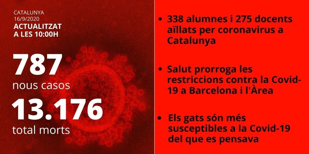 Cardo Palabras infectadas coronavirus 16 septiembre