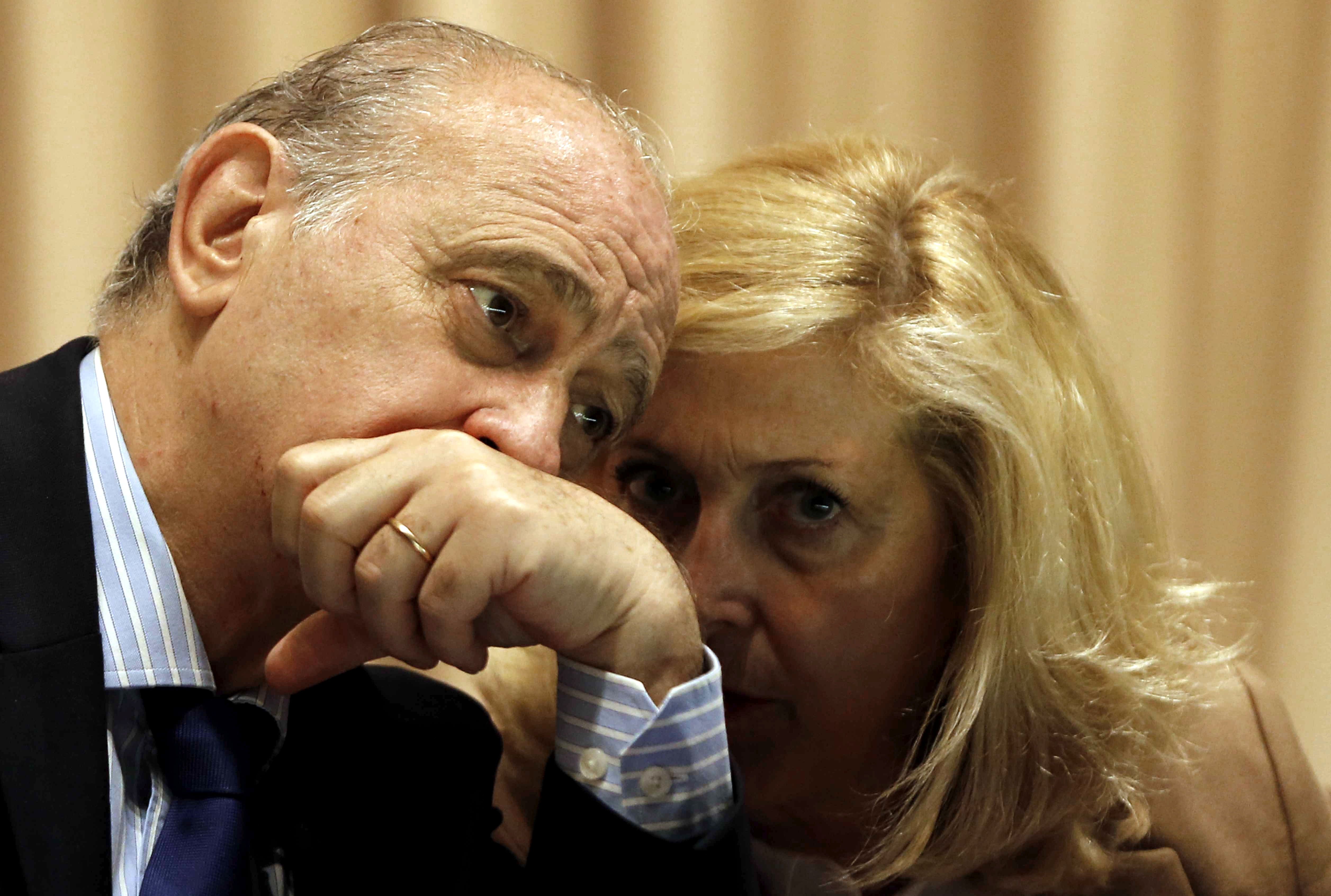 Jorge Fernández veu "opinable" la prohibició d'estelades