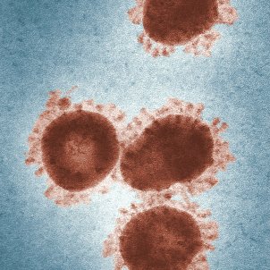coronavirus unsplash coronavirus unsplash