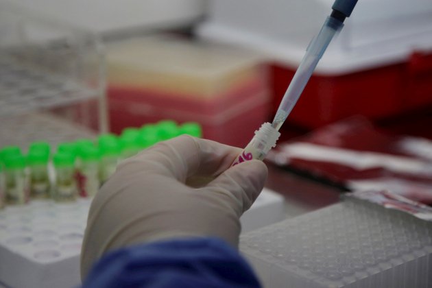 Proves PCR coronavirus laboratori EFE