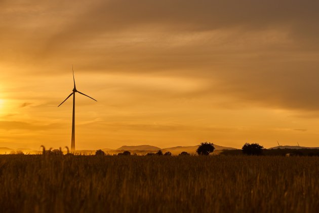 Parque eólico para producir energía renovable. Foto: Pixabay