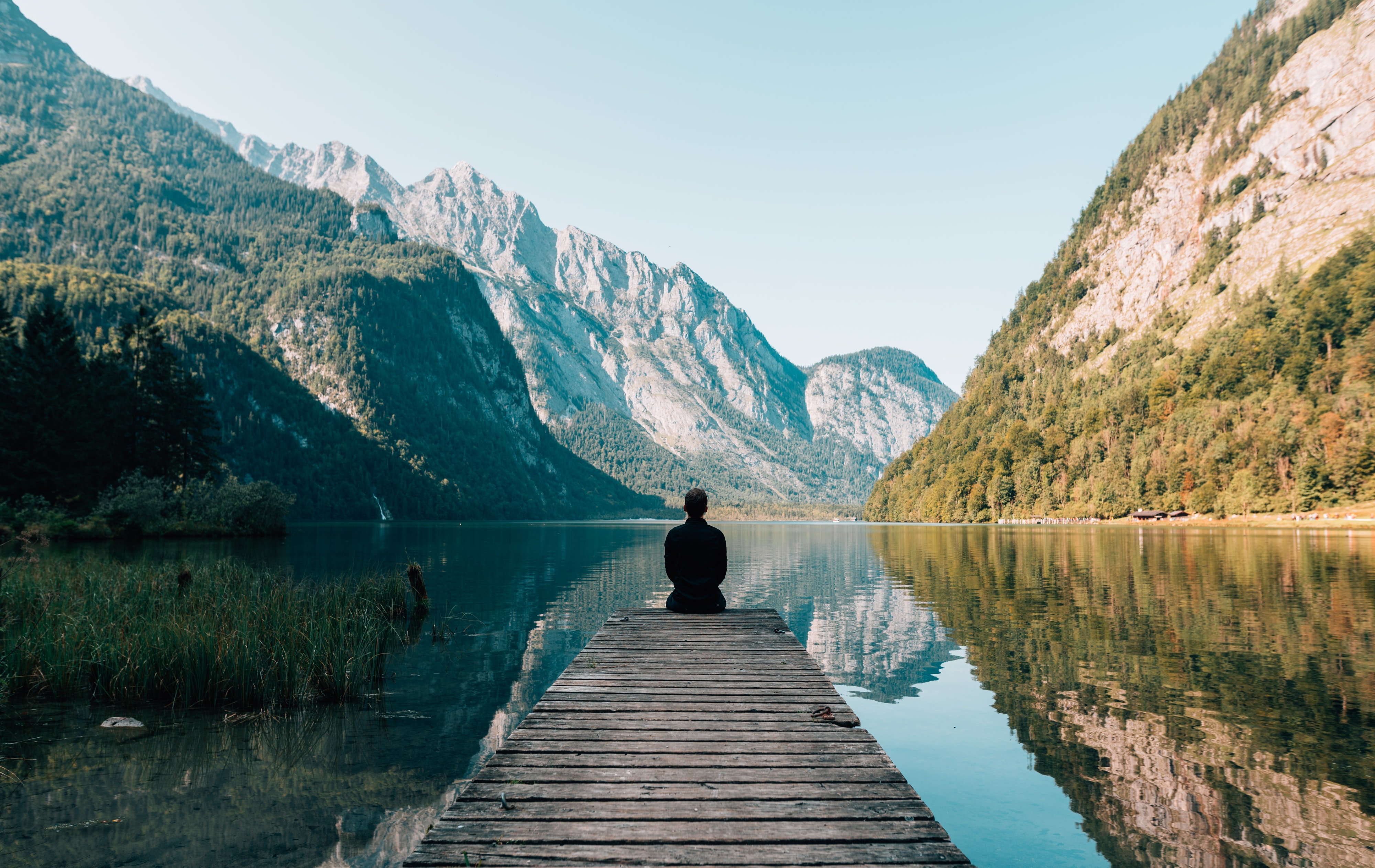 Meditación en la naturalesa