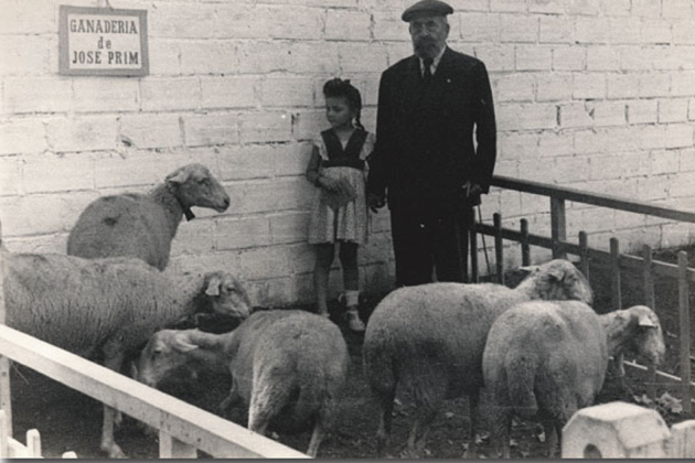 Es celebra la primera fira de Sant Miquel de Lleida. Expositor ramader (1946). Font Fira de Lleida Es celebra la primera fira de Sant Miquel de Lleida. Expositor ramader (1946). Font Fira de Lleida