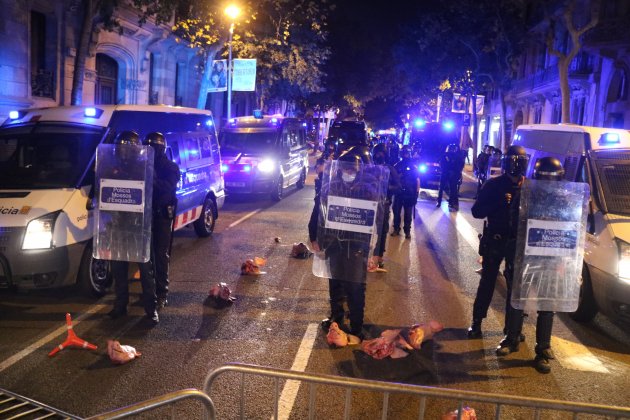 CDRS caps porc Mossos d'Esquadra / ACN CDRS caps porc Mossos d'Esquadra / ACN