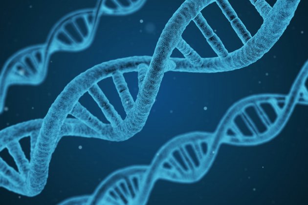 Cadenas de ADN
