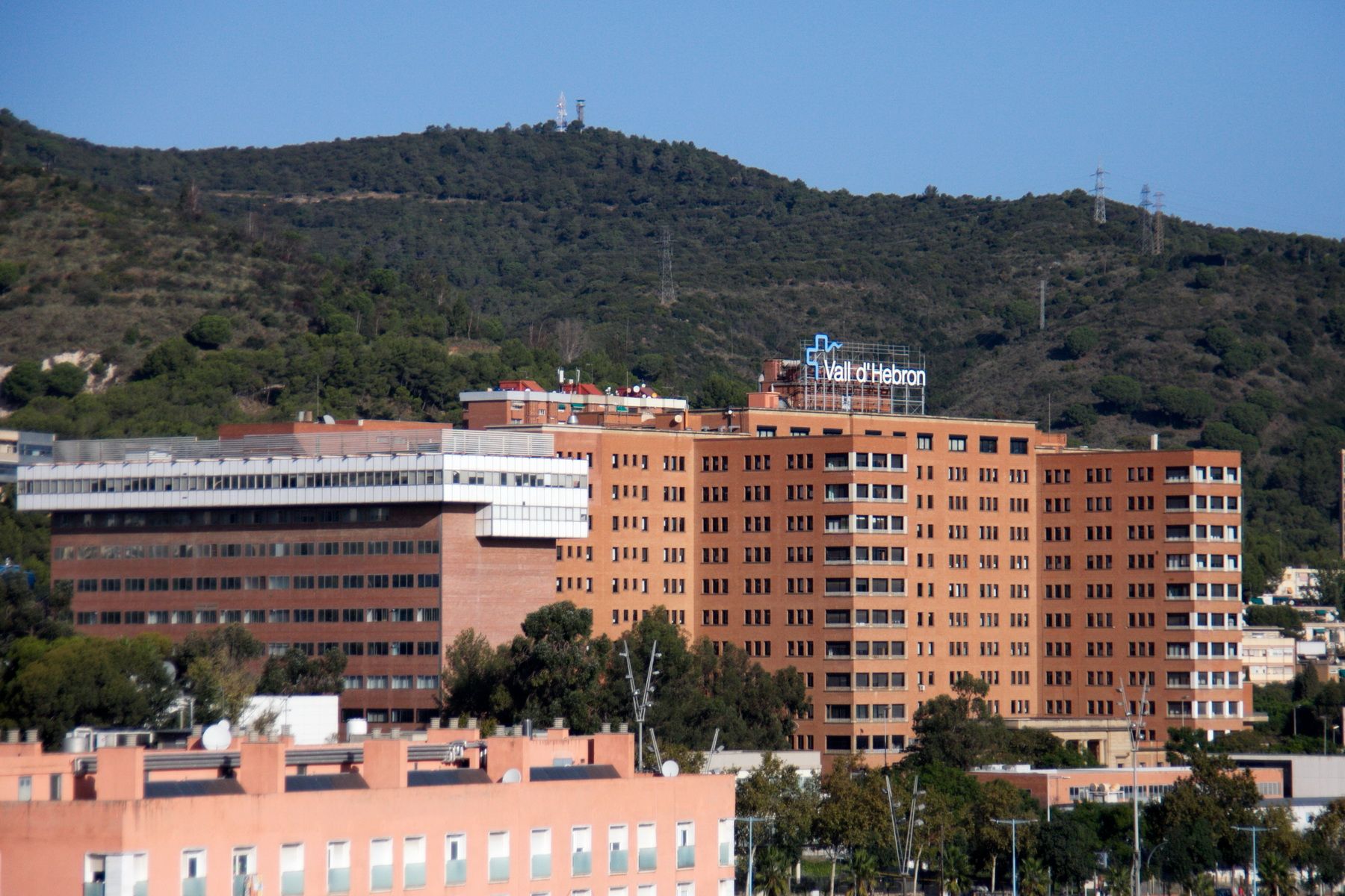 Se duplican las visitas a urgencias del Vall d'Hebron por enterovirus