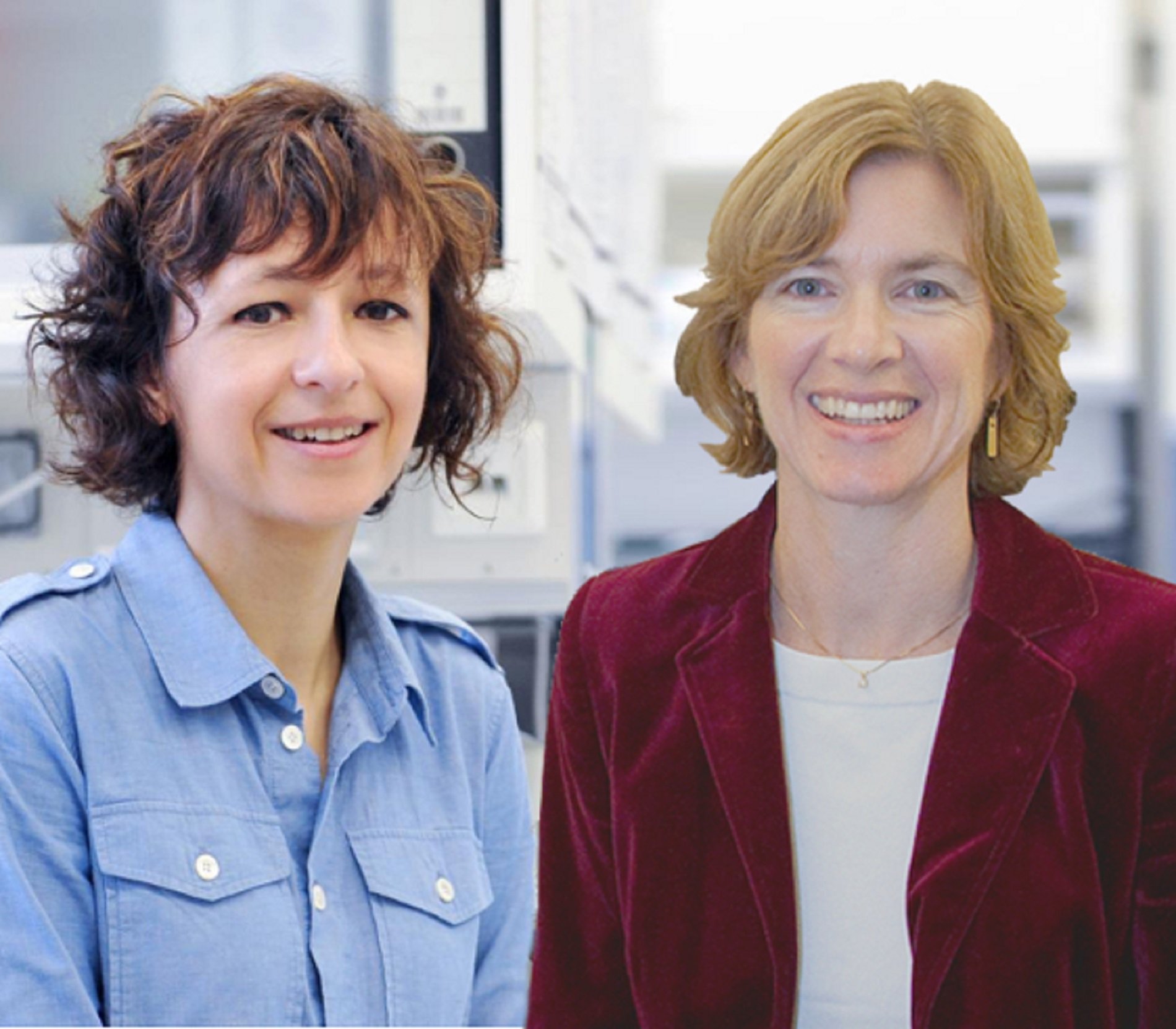 Las creadoras de la edición del genoma, Nobel de Química 2020