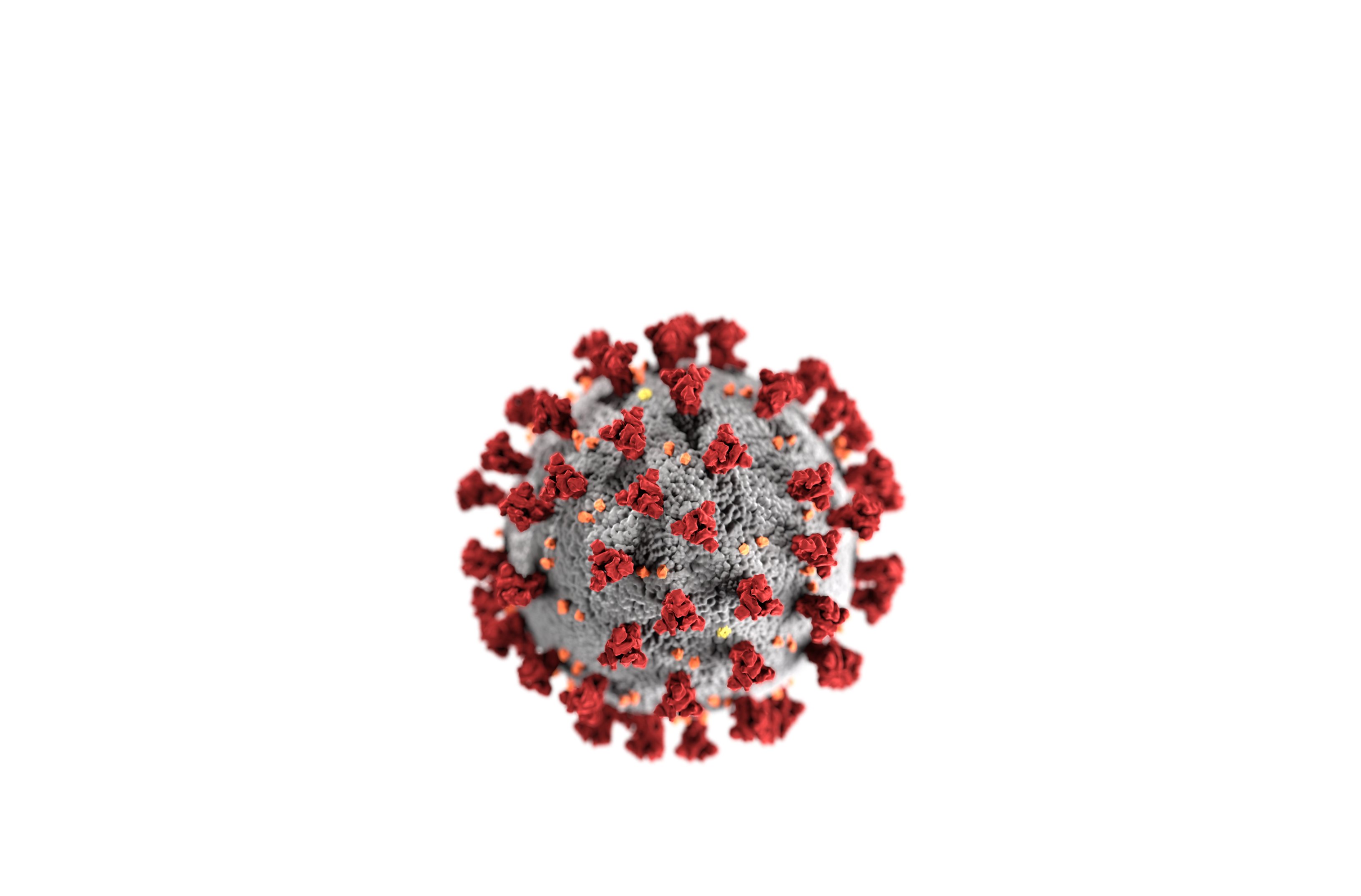 Coronavirus