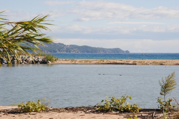 Delta de la Tordera - Maria López Moya