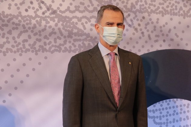 Rei i Pedro Sánchez estació de França 6   Sergi Alcàzar