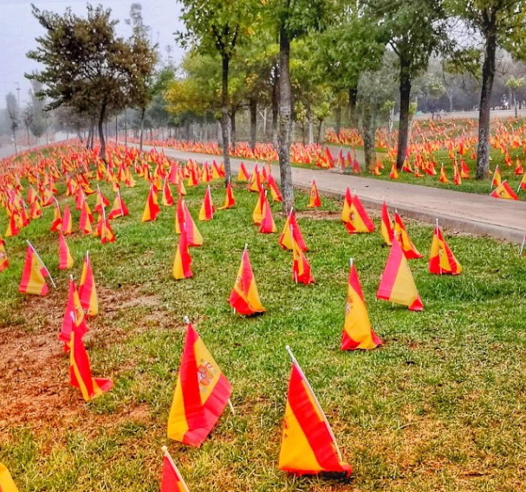 Sevilla: 53.000 banderas de España para homenajear a las víctimas de la Covid