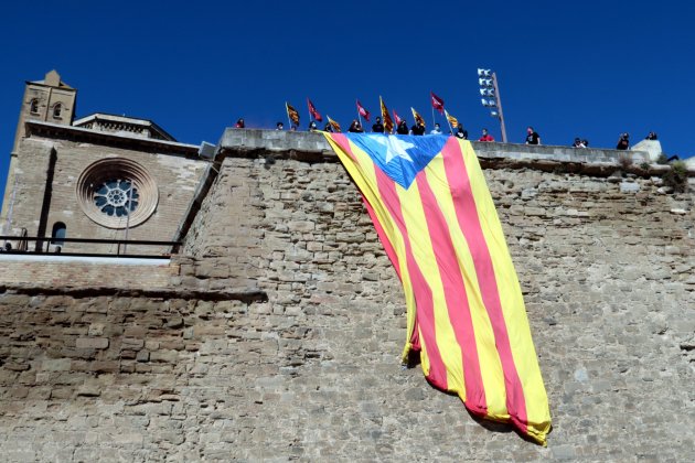 estelada seu vella lleida jovent republica - ACN