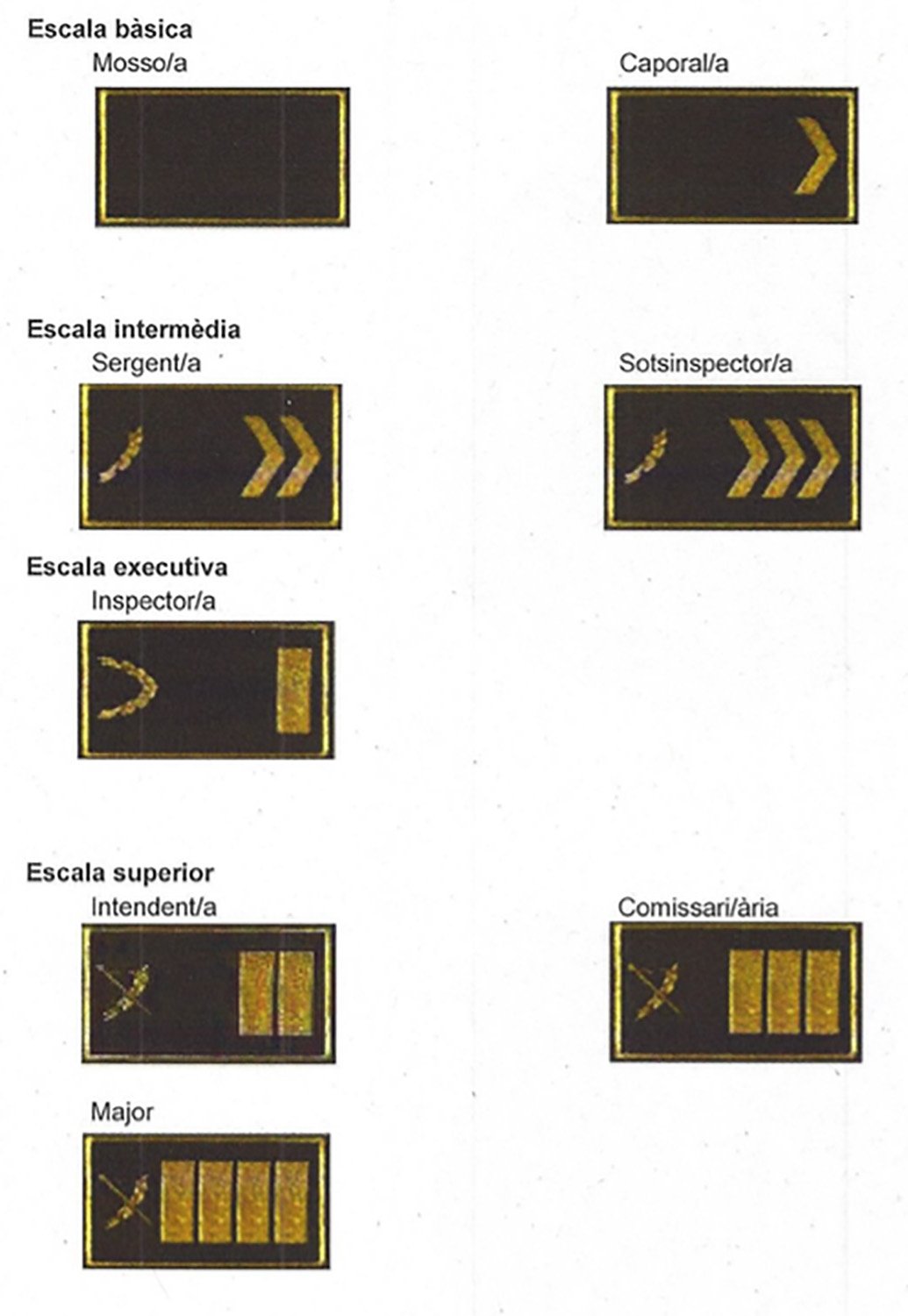 Galons Mossos Esquadra