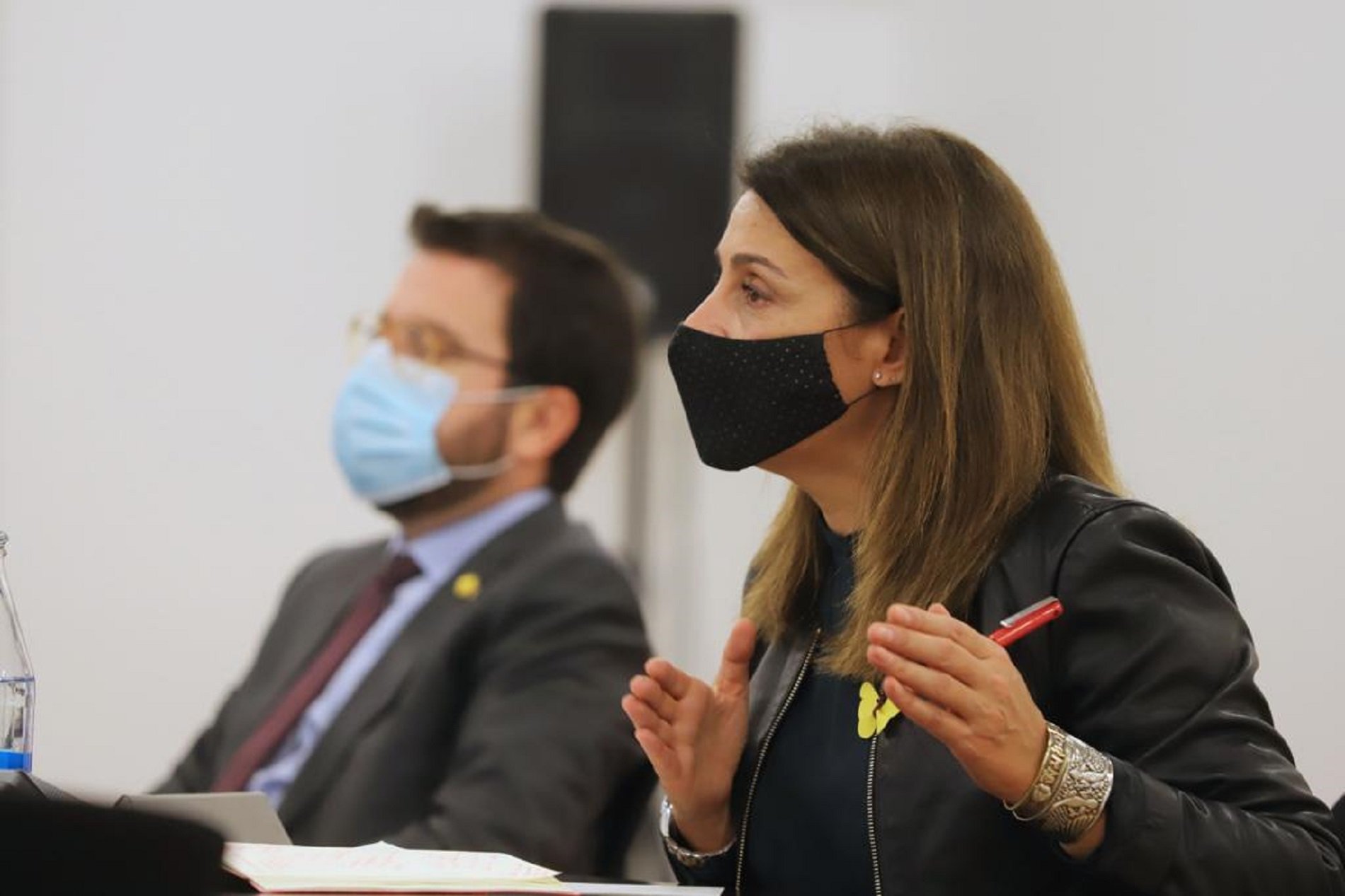 Consell extraordinari pandemia 3 / Ruben Moreno