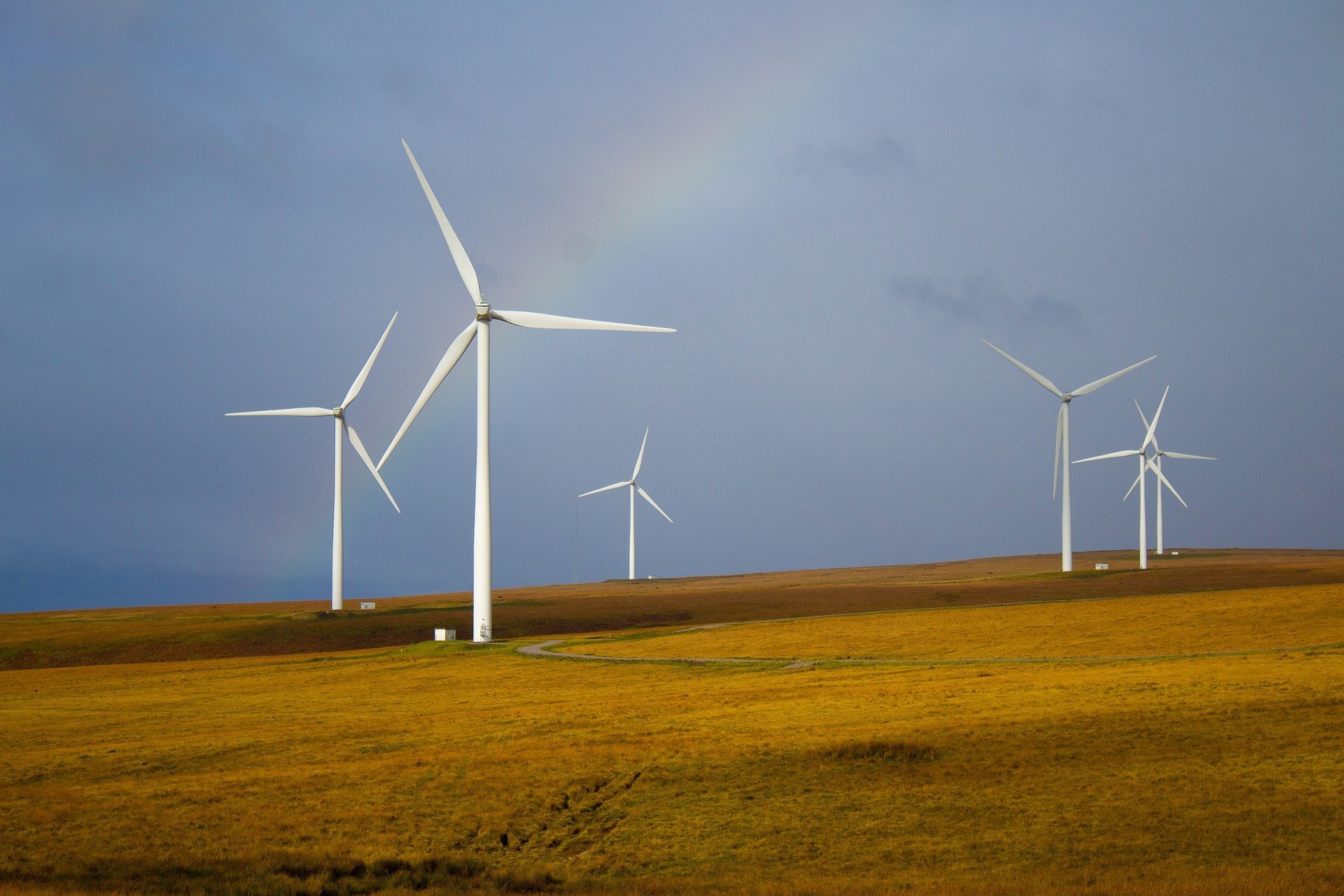 Iberdrola, CIP, Ørsted i Statkraft, les companyies que encapçalen la producció d'energia eòlica a Europa