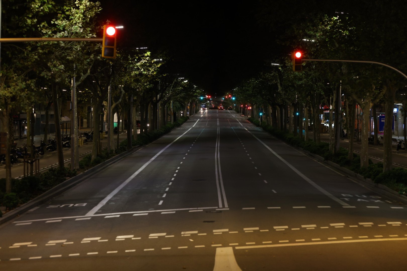 El TSJC avala el toque de queda nocturno