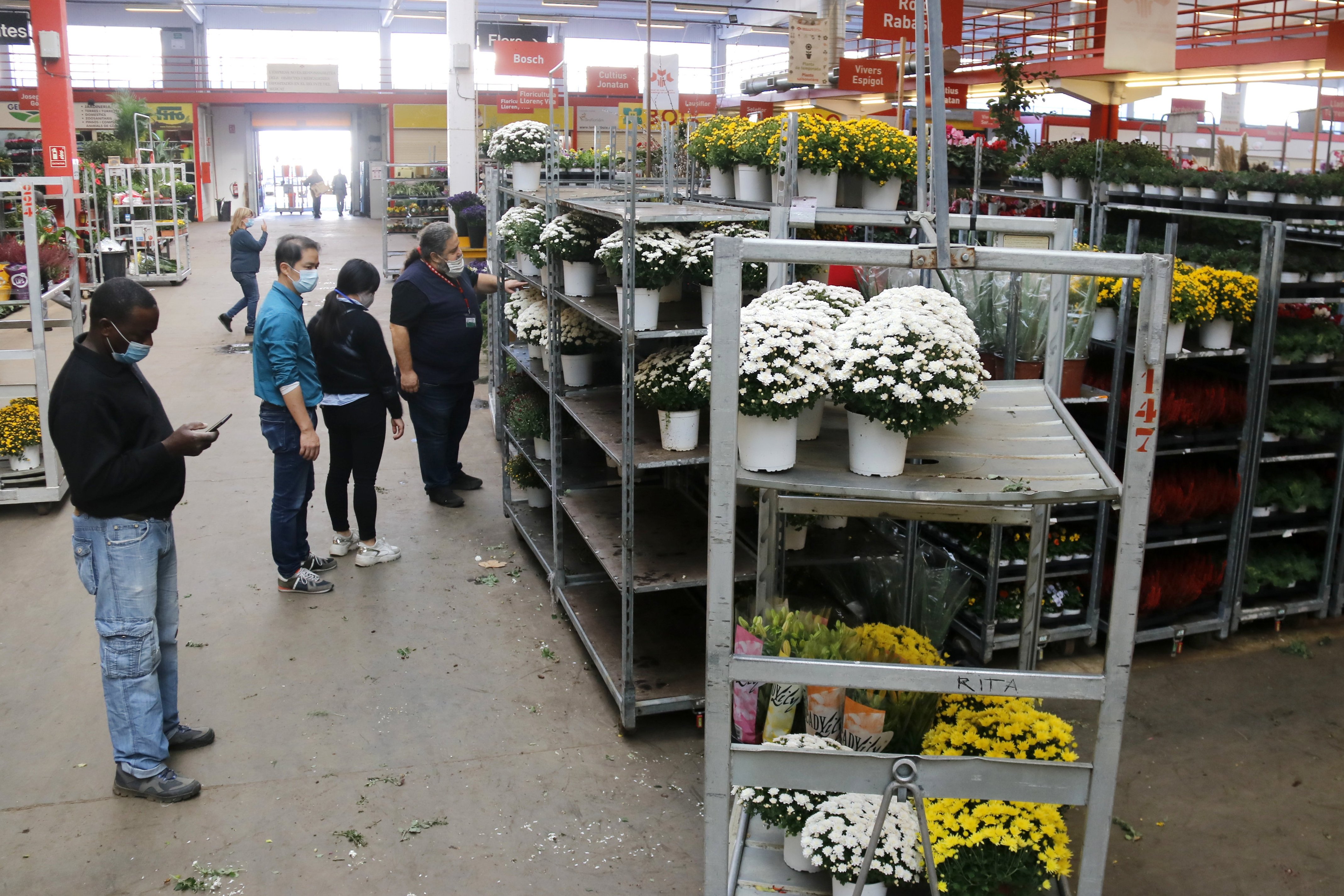 Los floricultores confían en Todos los Santos y Navidad para equilibrar cuentas