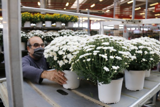 Mercado de flor y planta 2 ACN