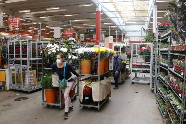 Mercado de flor y planta 3 ACN