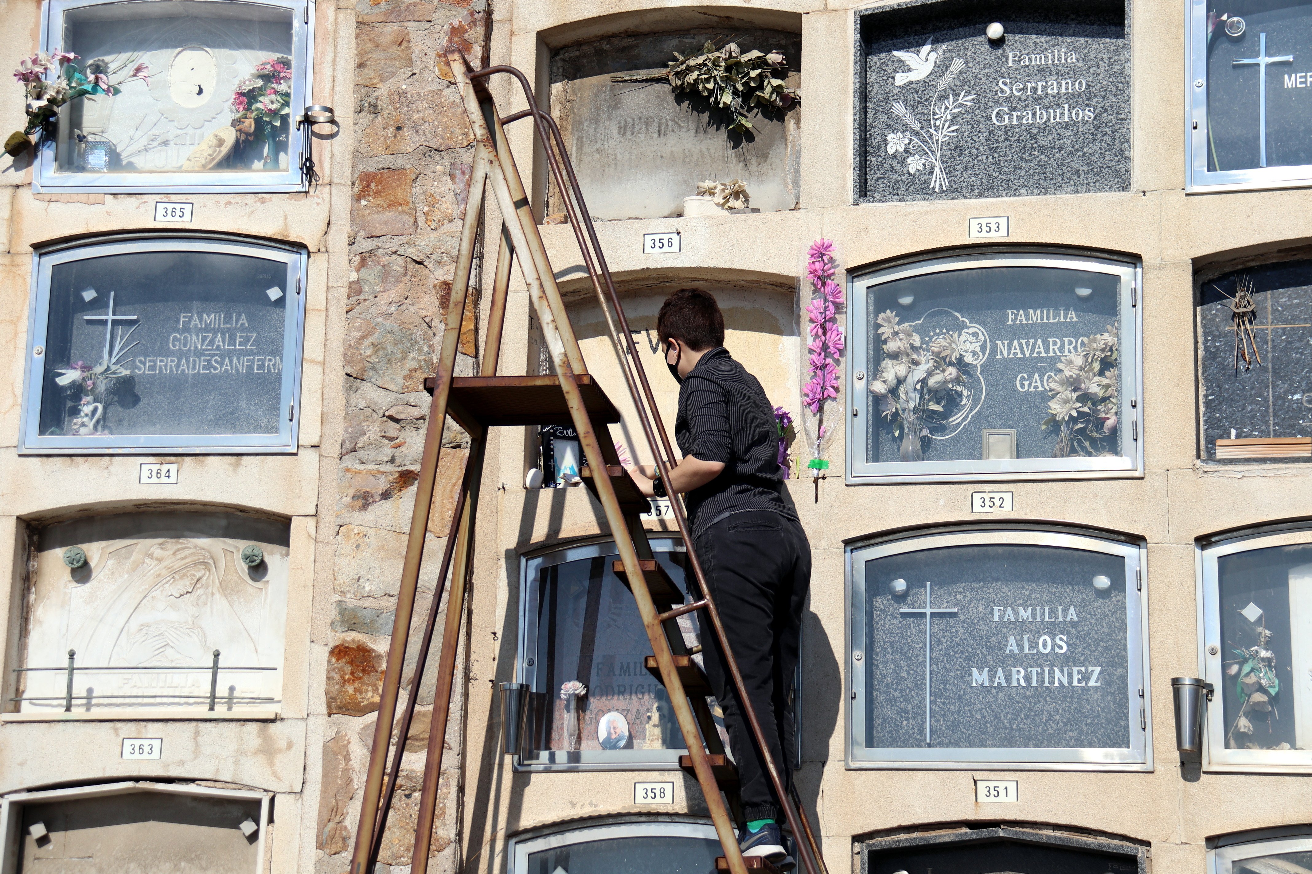 Barcelona se plantea crear un cementerio de mascotas en Collserola
